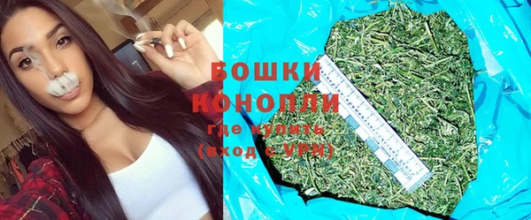 тгк Богородск