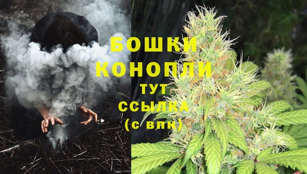 СК Новый Уренгой