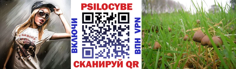 купить   Гаврилов-Ям  Псилоцибиновые грибы прущие грибы 